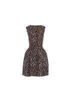 leopard print intarsia knit skater dress