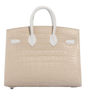 Hermes Limited Edition Birkin 20 Faubourg Sellier Sous La Neige