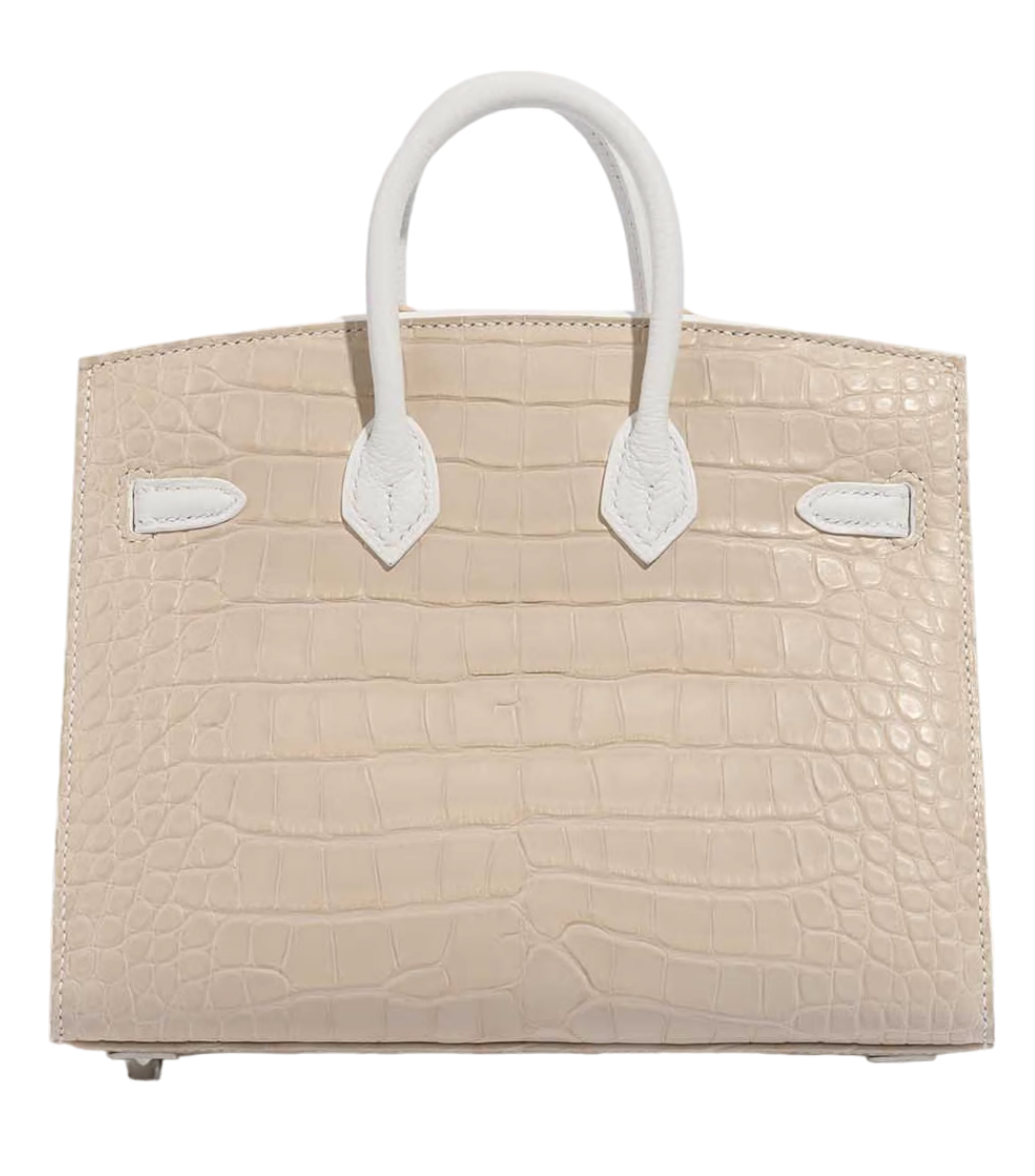 Hermes Limited Edition Birkin 20 Faubourg Sellier Sous La Neige