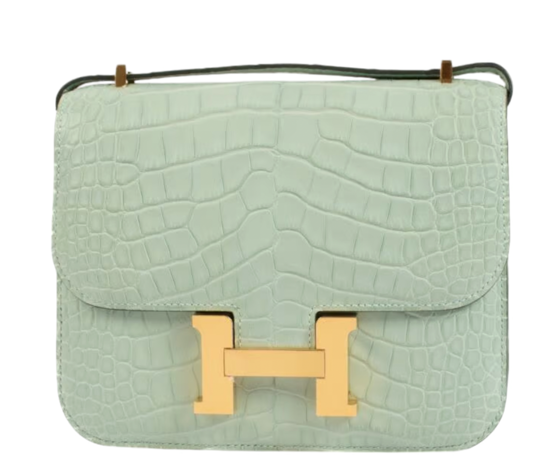 Matte Vert d'Eau Mississipiensis Alligator 18cm Mini Constance with Gold Hardware