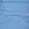 Tome Blue Pinstriped Long sleeve Top with Back Opening