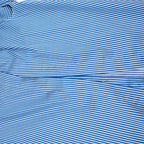 Tome Blue Pinstriped Long sleeve Top with Back Opening