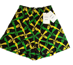 Bottega Veneta Printed High Waist Shorts