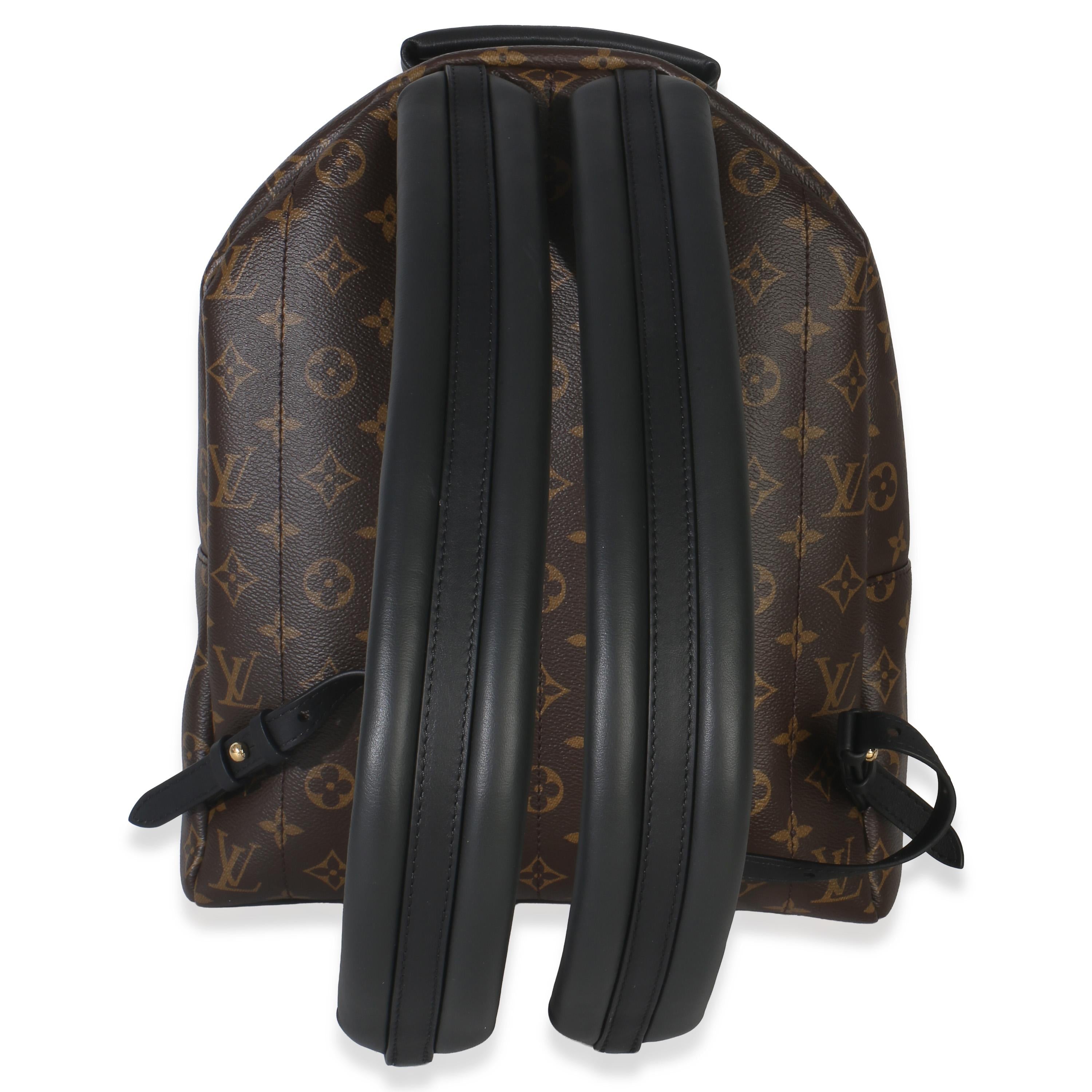 Louis Vuitton Coated Canvas Palm Springs MM