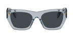 Fendi Blue Fendigraphy Acetate Sunglasses