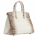 30 cm Crocodile Niloticus Matte Himalaya Birkin Palladium Hardware