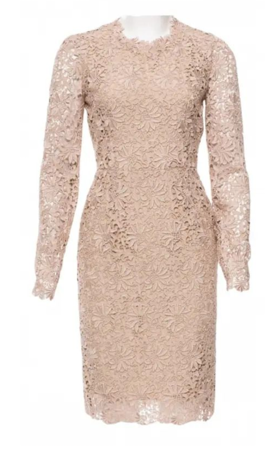Stella McCartney Nude Lace Dress