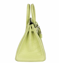 Jaune Bourgeon Birkin 25 cm in Mississippiensis Alligator Matte with Palladium Hardware