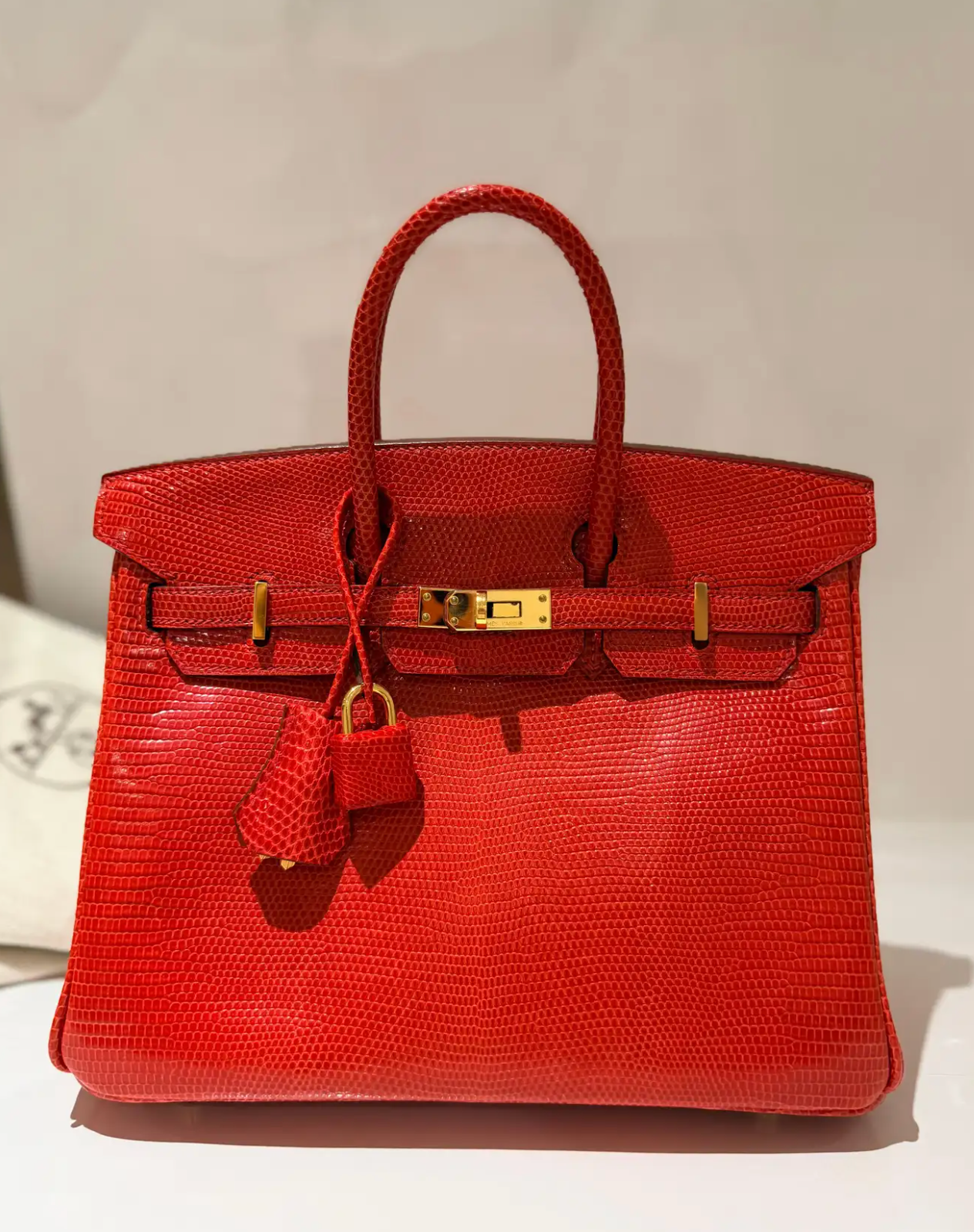 Hermes Birkin Rouge Exotique Niloticus Lizard 25cms