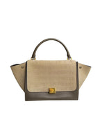 Beige Crocodile Embossed Trapeze Bag