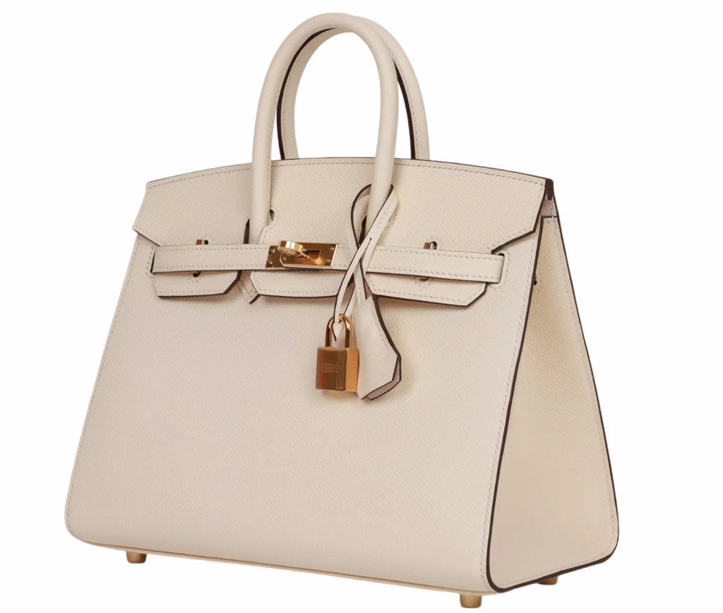 Hermès Epsom Sellier Nata Birkin 25 With Gold Hardware