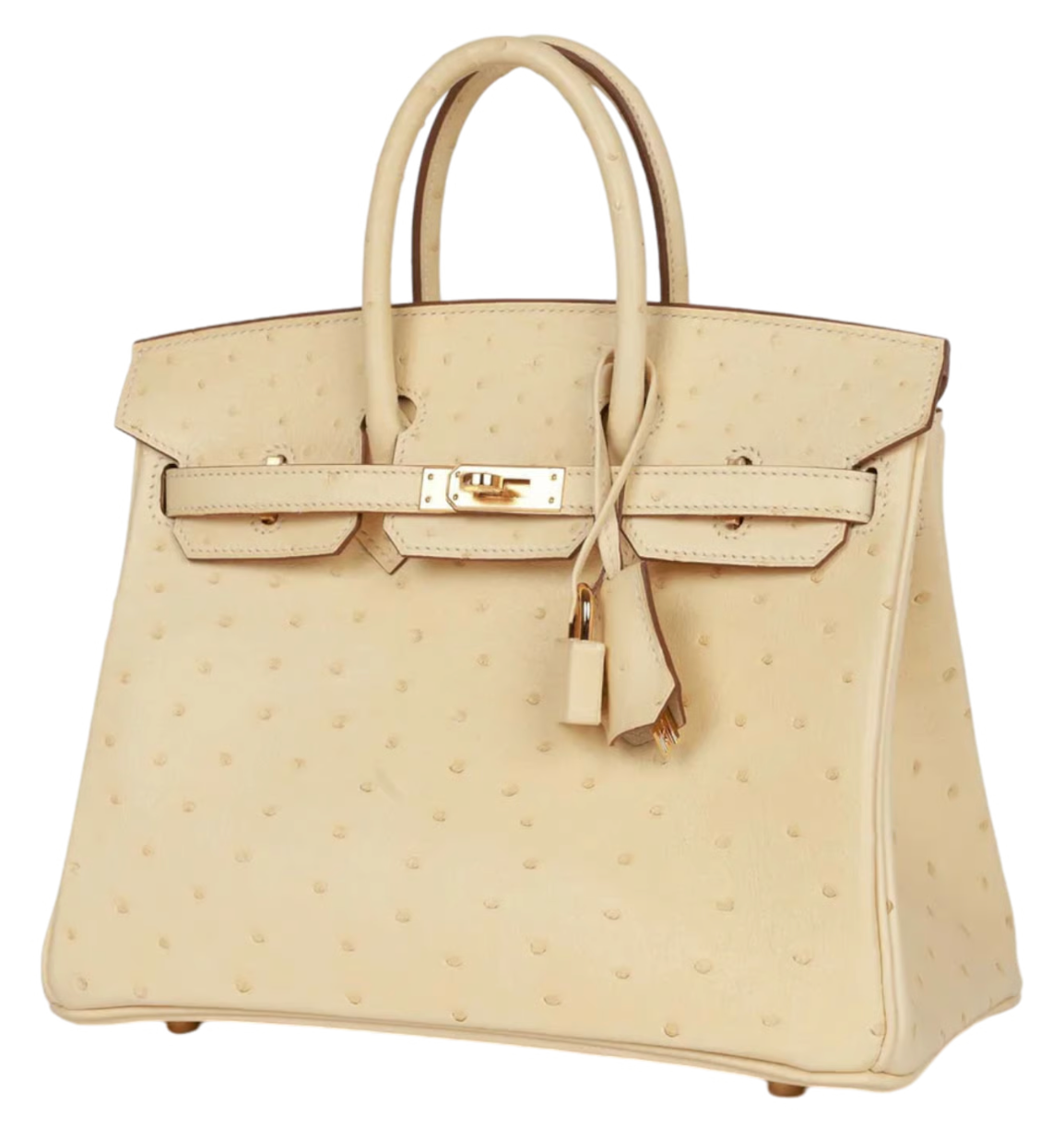 Hermès Birkin 25 Autruche Vanille Gold Hardware