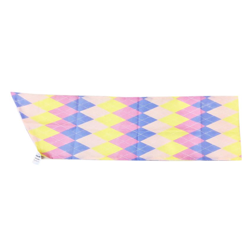 Casall Pastel Silk Scarf