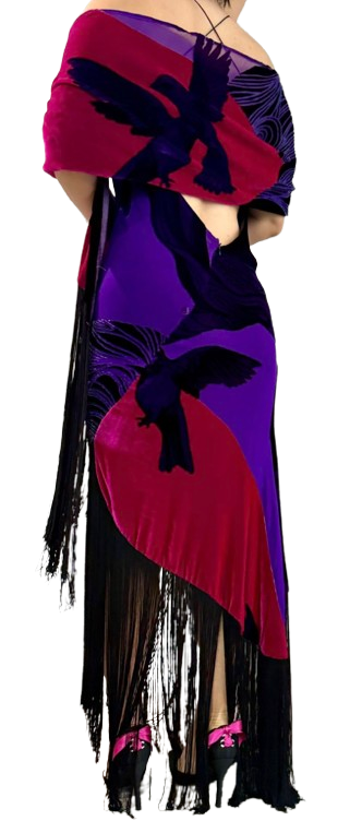 Joop Velvet Maxi Dress And Shawl