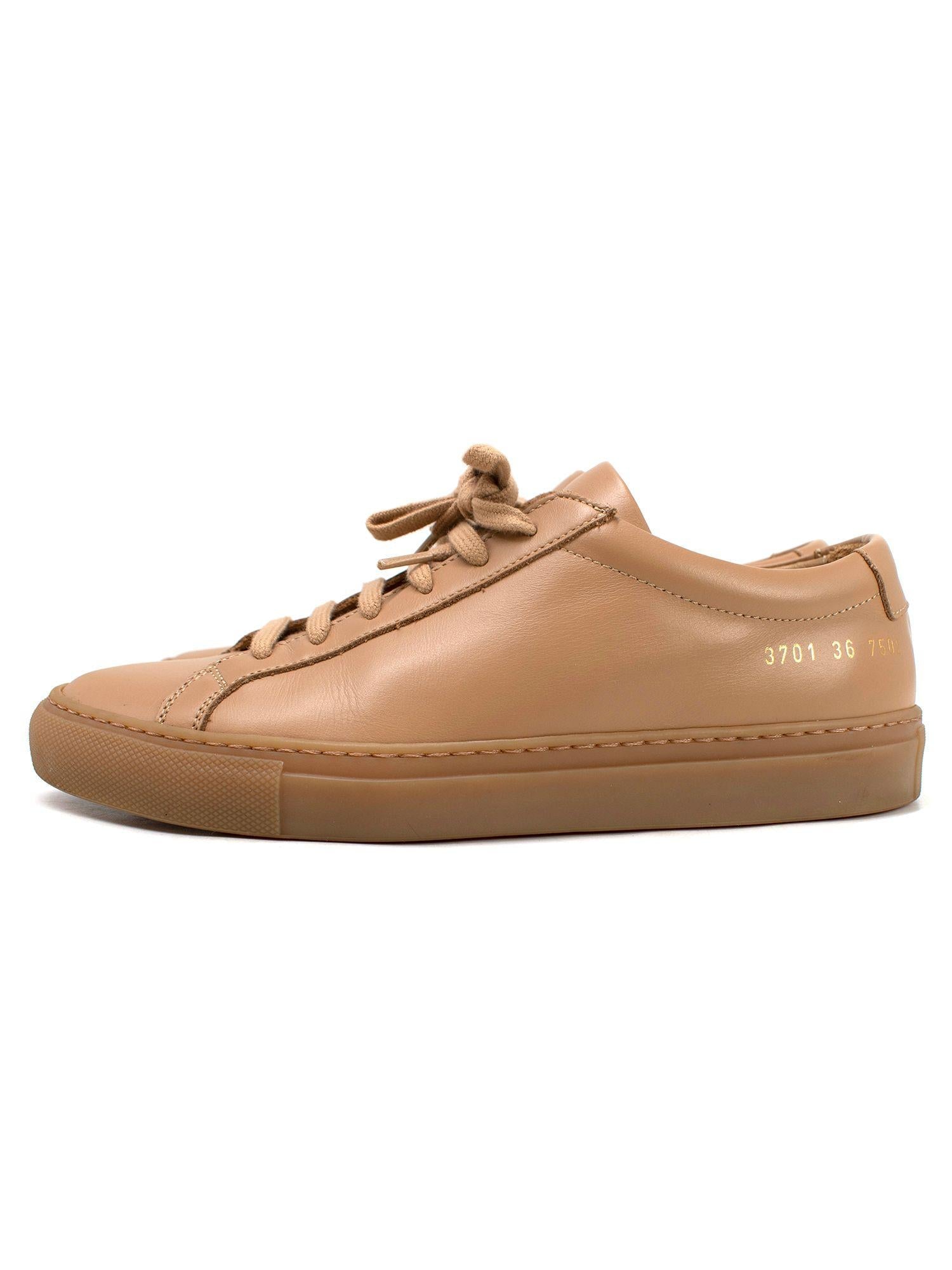 Common Projects Clay Original Achilles Low Sneakers