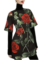 Red Rose Brocade Mini Dress