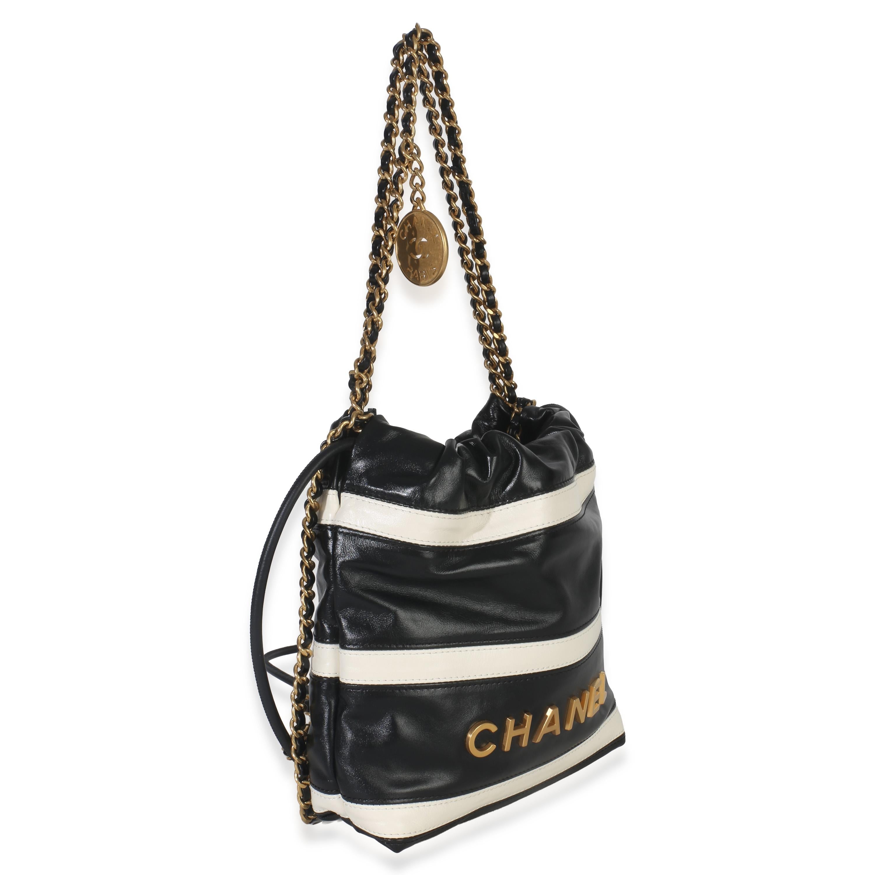 Chanel  Mini Quilted Calfskin 22 Hobo