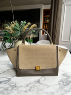Beige Crocodile Embossed Trapeze Bag