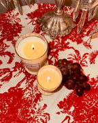 Velas Catalina