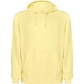 Sudadera unisex con capucha forrada al tono, 100% algodón con acabado lavado ácido Vetonek