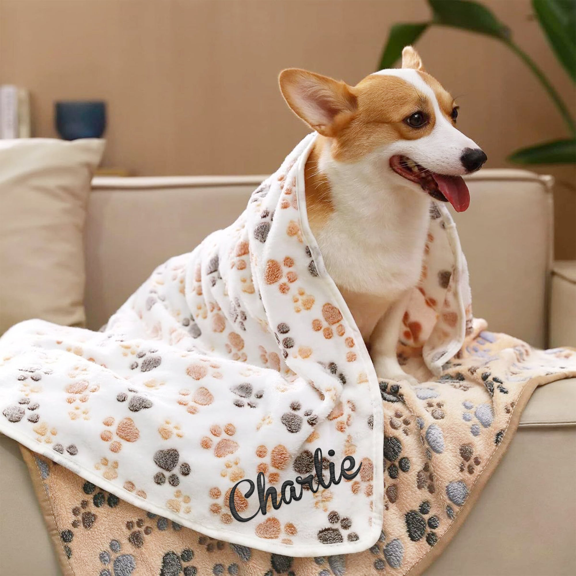 Manta de forro polar personalizada con nombre bordado Decoración del hogar Regalo de cumpleaños para dueños de mascotas