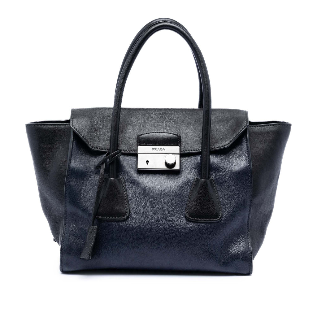 Bicolor Glace Calf Sound Lock Satchel