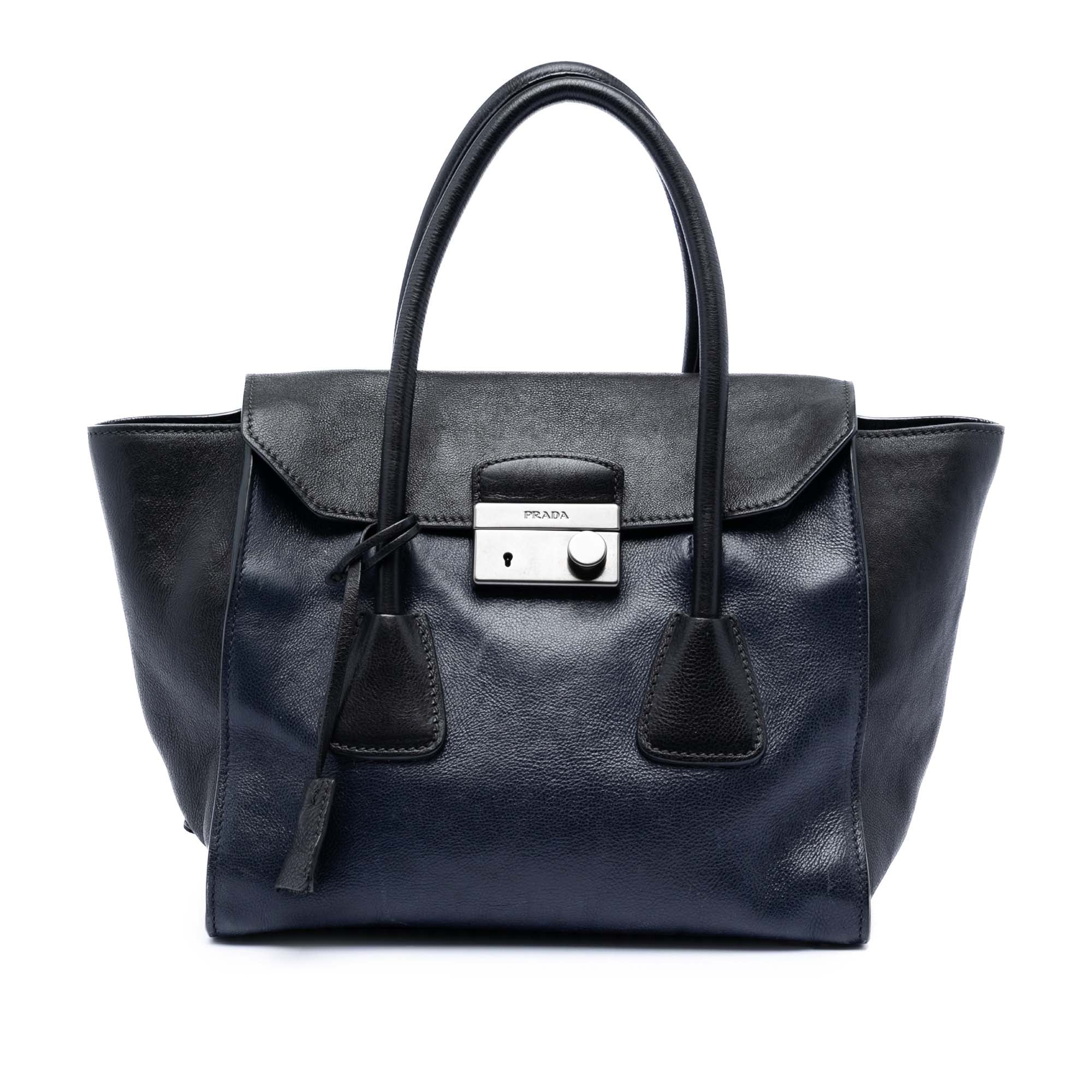 Bicolor Glace Calf Sound Lock Satchel