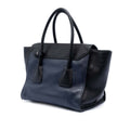 Bicolor Glace Calf Sound Lock Satchel