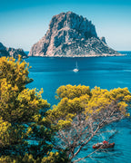 Uncorking the Secrets: An Organic Wine Making Workshop in Ibiza