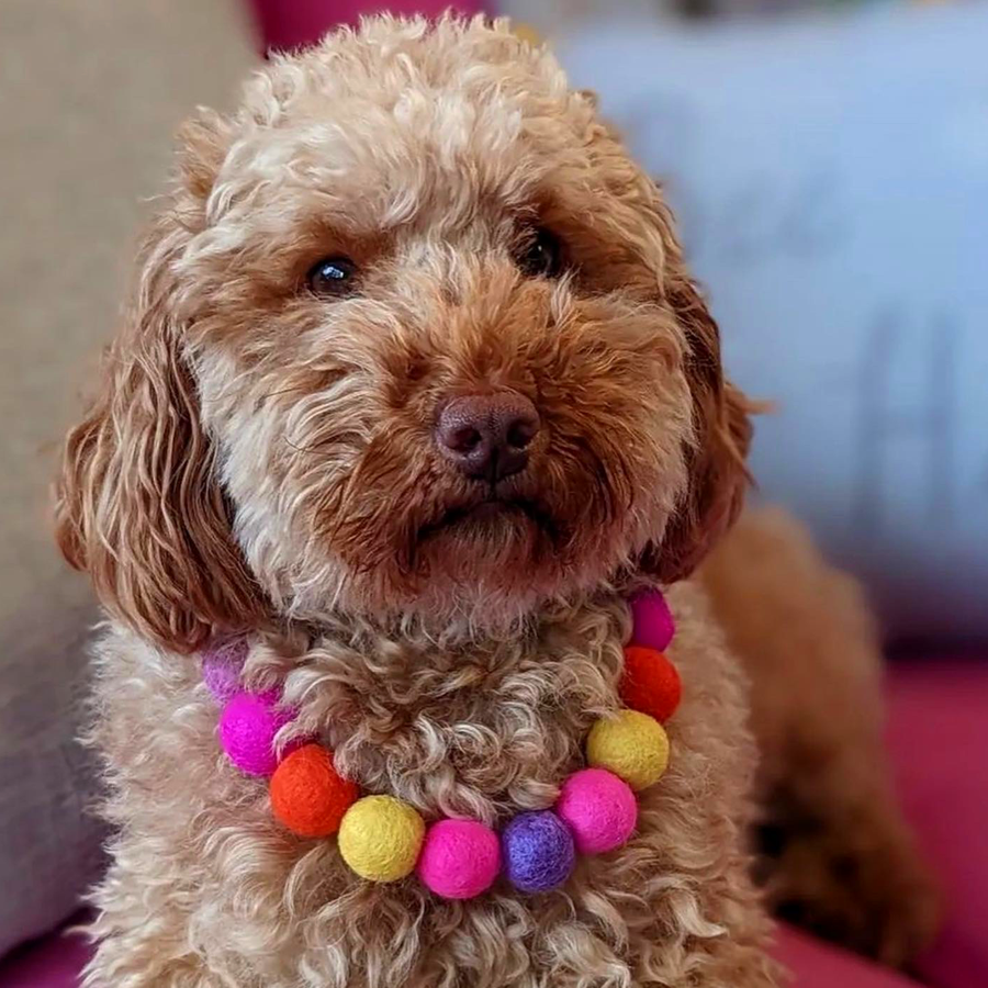Pink - Personalised Pom Pom Dog Collar