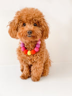 Pink - Personalised Pom Pom Dog Collar