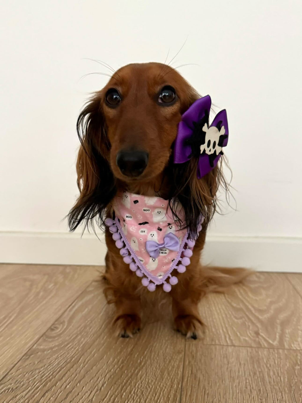 Cute Pink Ghosts! Halloween Pompom Dog Bandana