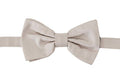 Men's Gray Silk Adjustable Neck Papillon Tie