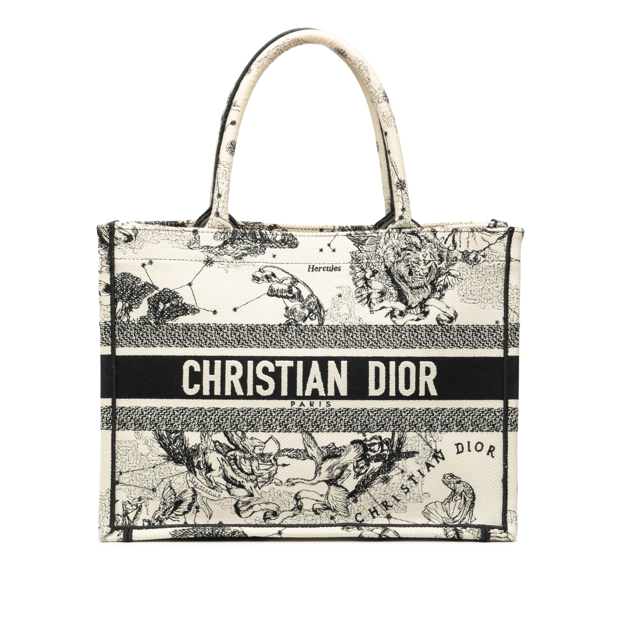 Medium Canvas Embroidered Zodiac Toile De Jouy Book Tote