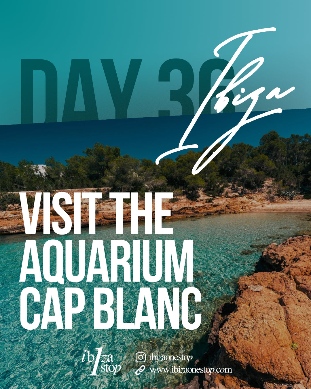 Discover the Wonders of the Ibiza Aquarium Cap Blanc