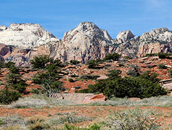 Bryce Canyon & Zion National Park