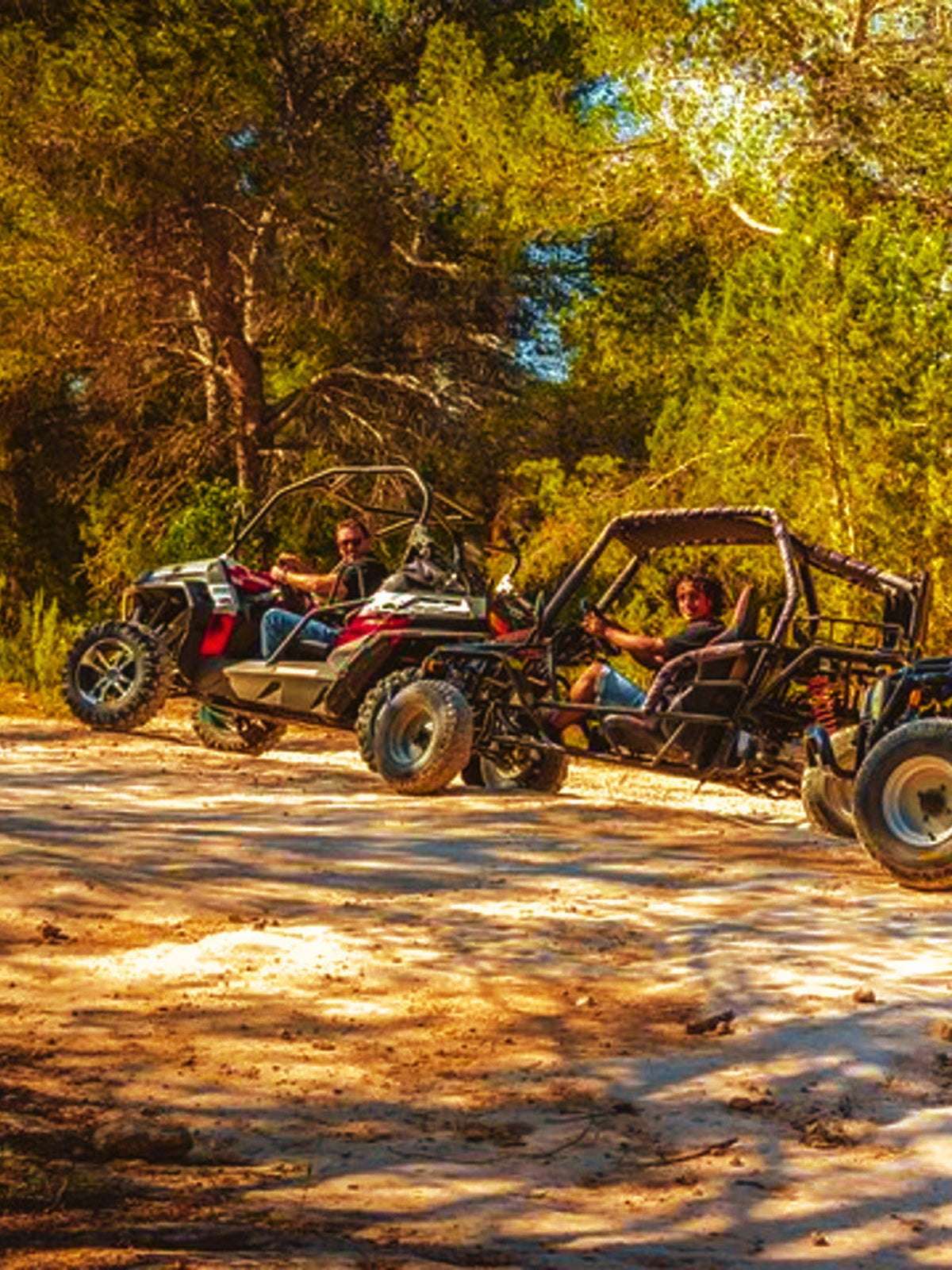 Big Buggy Ibiza Tour