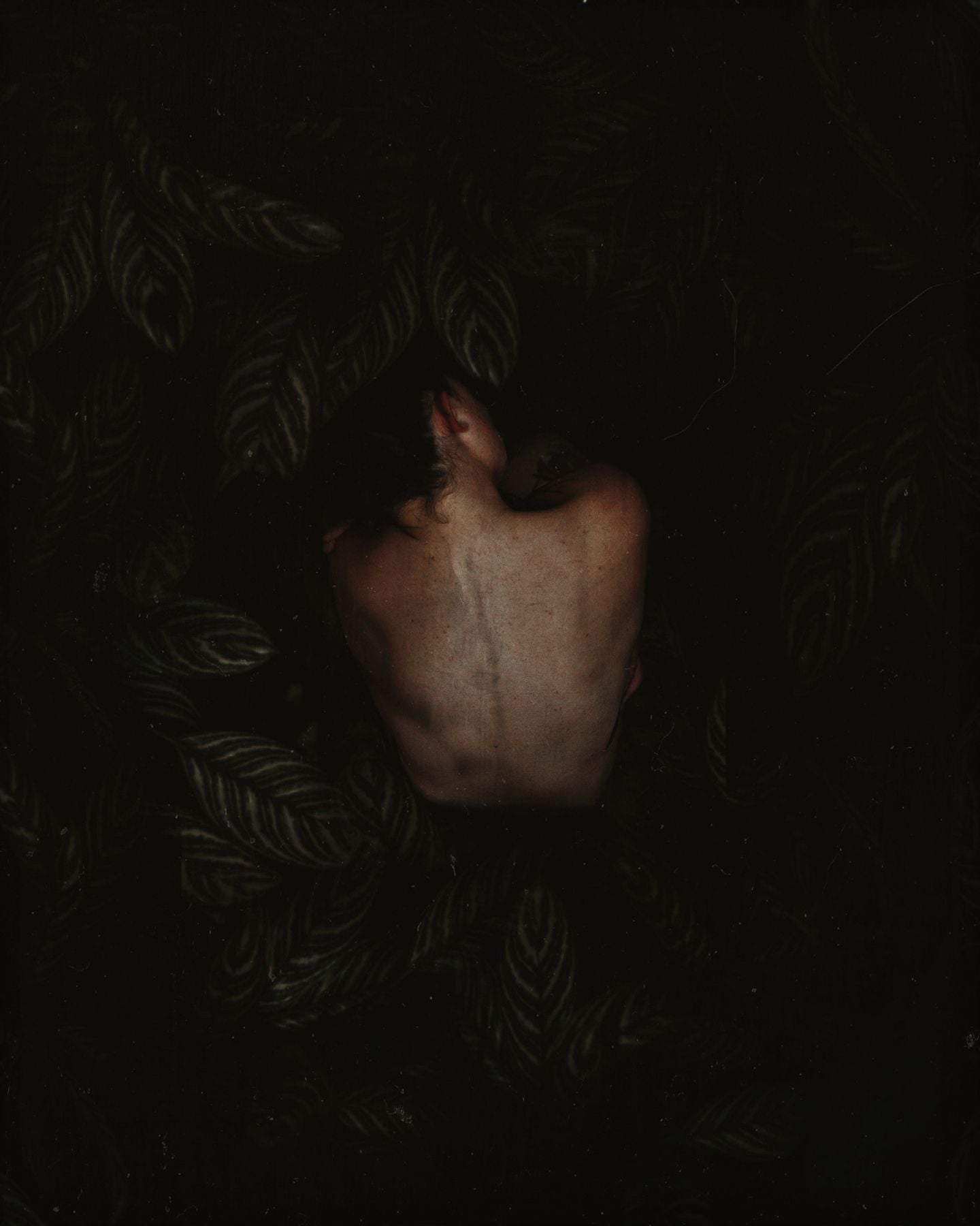 Revival | Photography