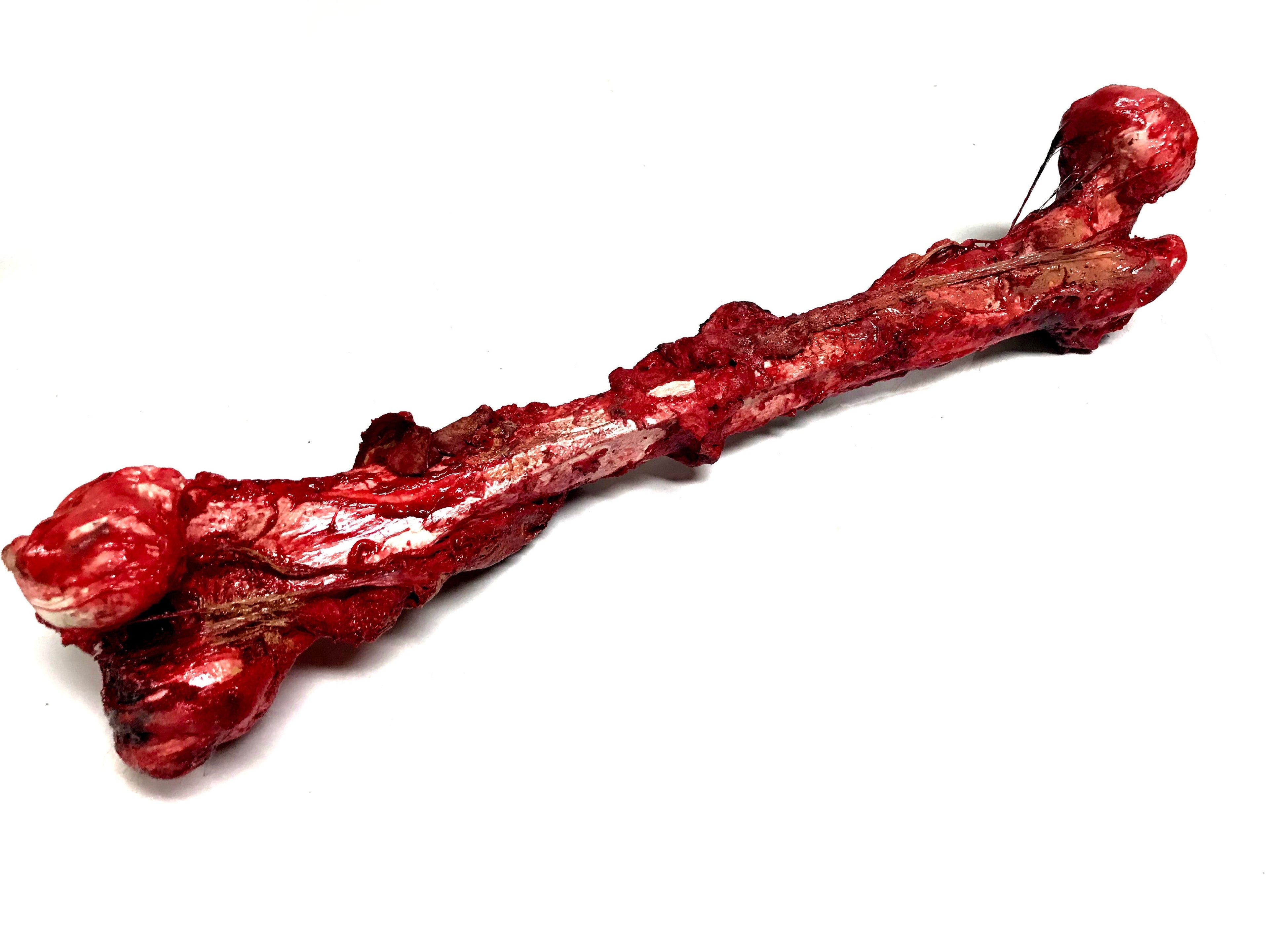 Bloody, Grisly Femur Bone Special Effects Prop with Realistic Skin and Gore By Prop Money Inc.