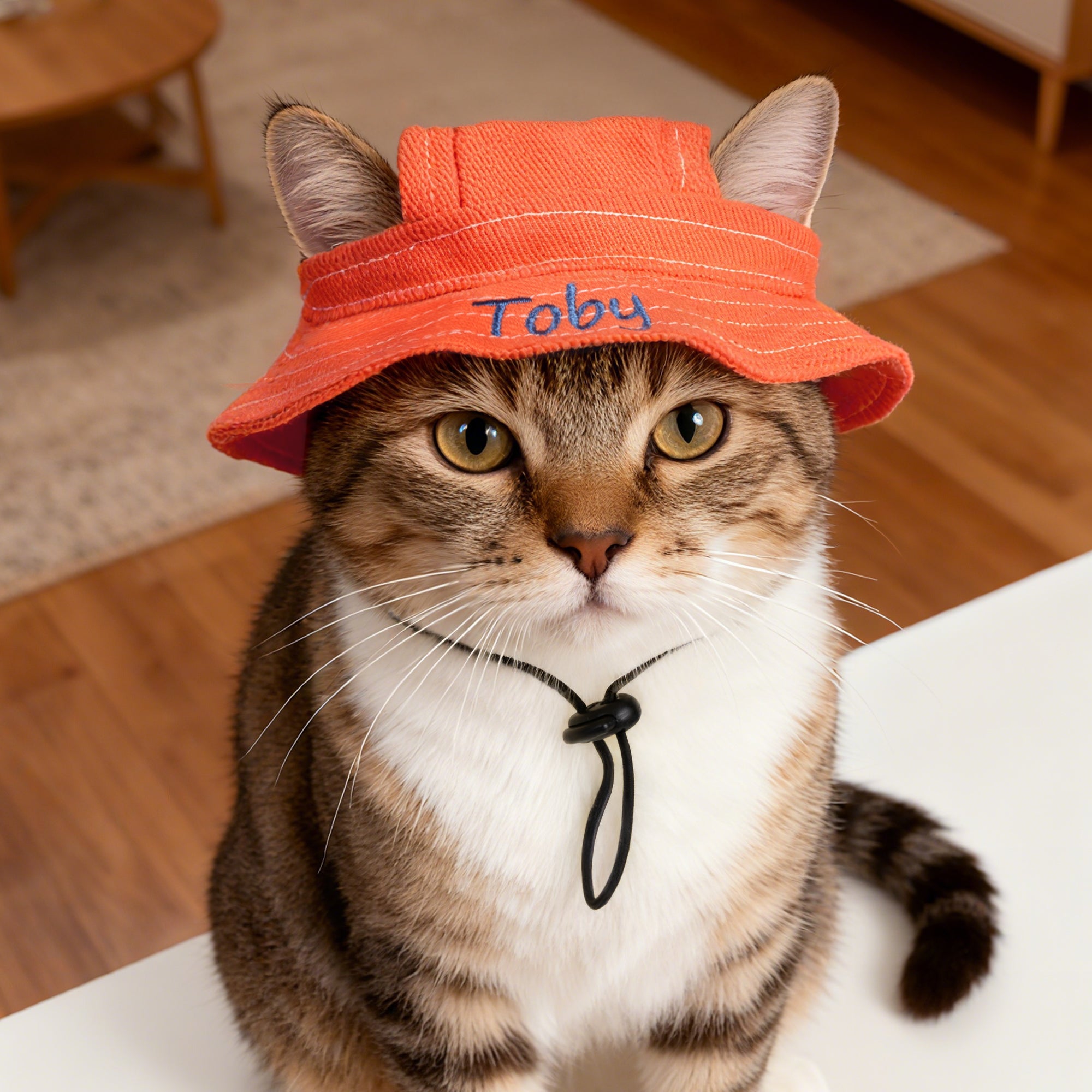 Personalizado Multicolor Leche Patrón Ajustable Pet Bucket Hat con nombre bordado Pet Daily Wear Birthday Gift for Pet Mom Dad Pet Lovers
