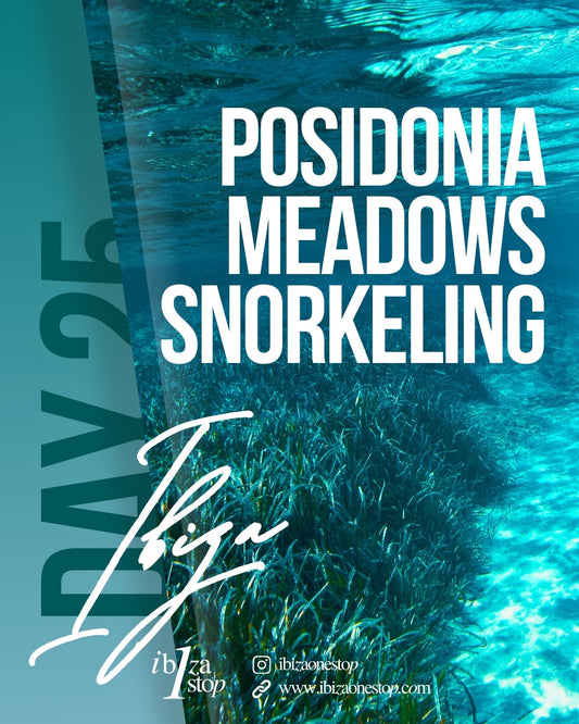 Delve into the Depths: A Guided Snorkeling Trip to Posidonia Meadows in Ibiza
