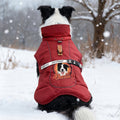 Retrato de perro personalizado Abrigo cortaviento cálido de invierno con nombre Regalo de cumpleaños de viaje al aire libre para dueños de mascotas Pet Lovers