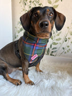 Cornish Hunting Tartan - Bandana - Tie-on