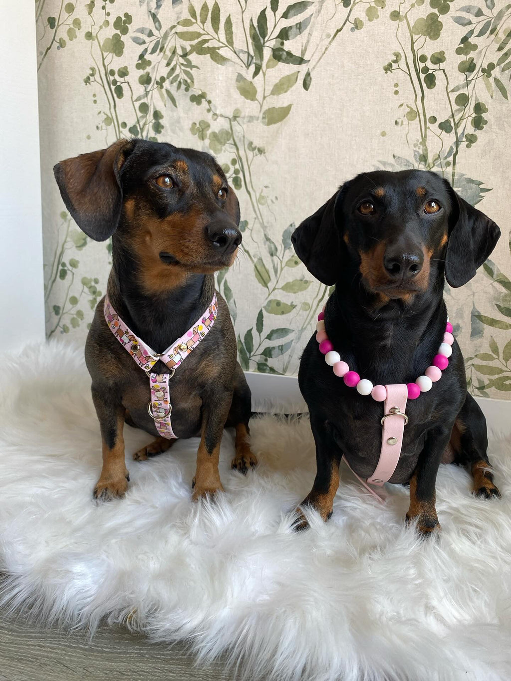 Handmade Bee Happy Dachshunds  Biothane Dog Harness - Vegan Leather / Waterproof Biothane