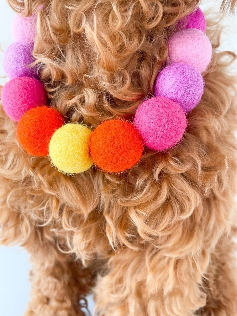 Pink - Personalised Pom Pom Dog Collar