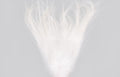 Overexposed Vol.3  LOTE 4 | Photography