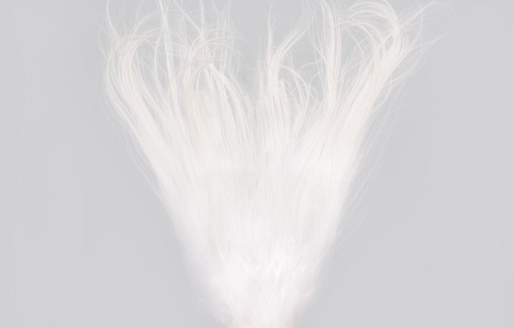 Overexposed Vol.3  LOTE 4 | Photography