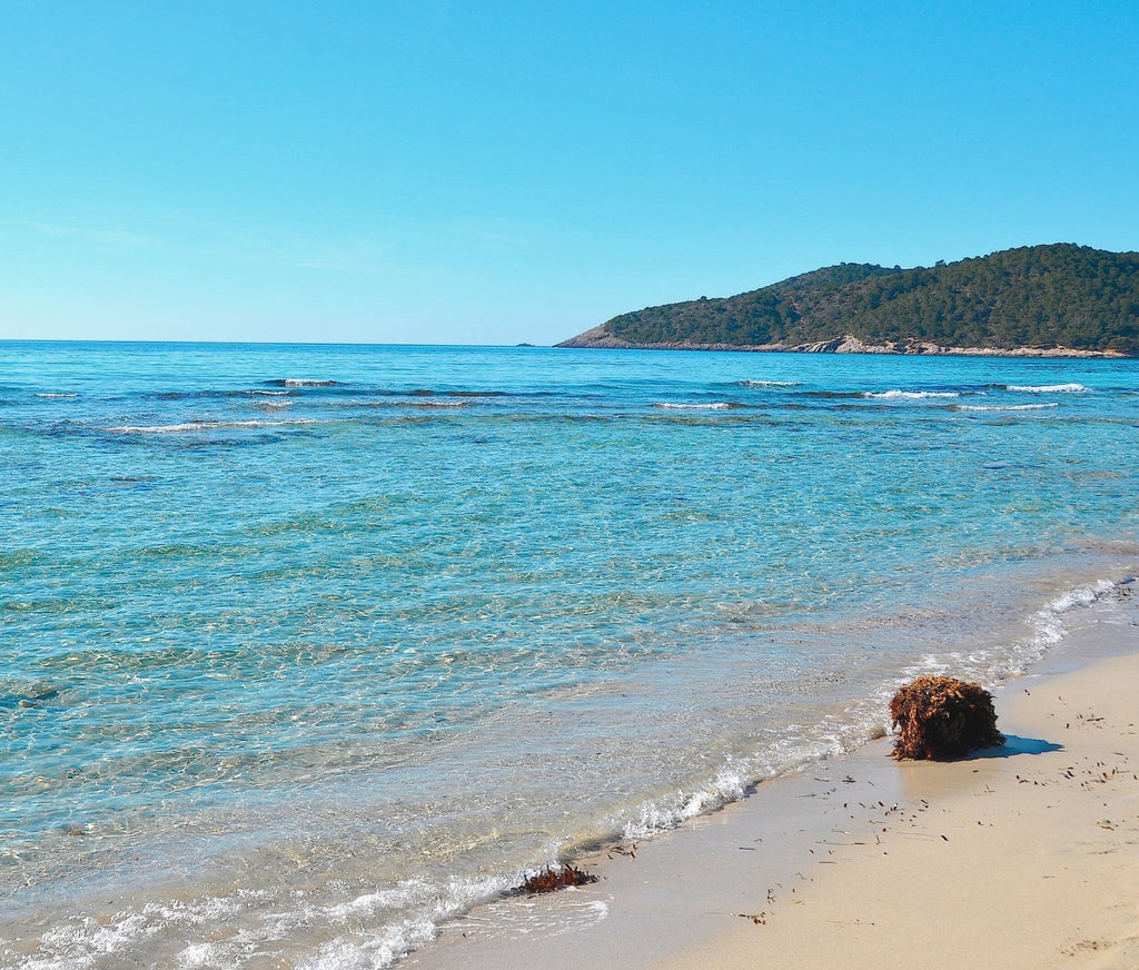 Las Salinas (Ses Salines)