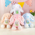 Conejito de Pascua de Peluche Personalizado Multicolor Peter Rabbit Peluche con Nombre Regalo de Pascua para Recién Nacidos Niños