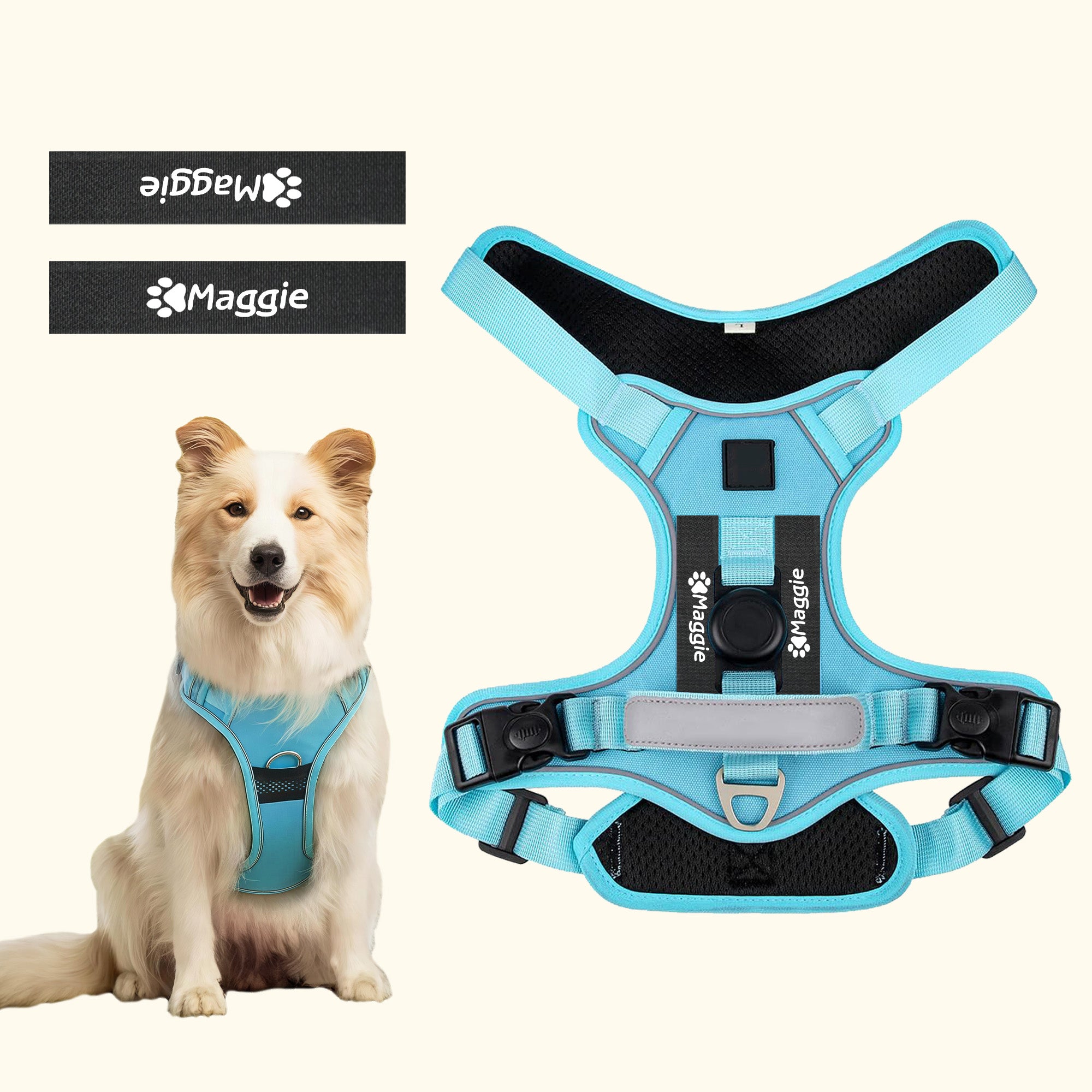 Personalizado Corazón Hueso Pez Señalización Mascota Pecho Arnés con Nombre Actividades al aire libre Regalo de cumpleaños para los dueños de mascotas